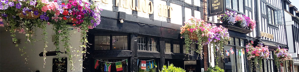 hanging baskets banner