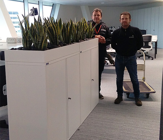 Ambius techs stood next to indoor plants
