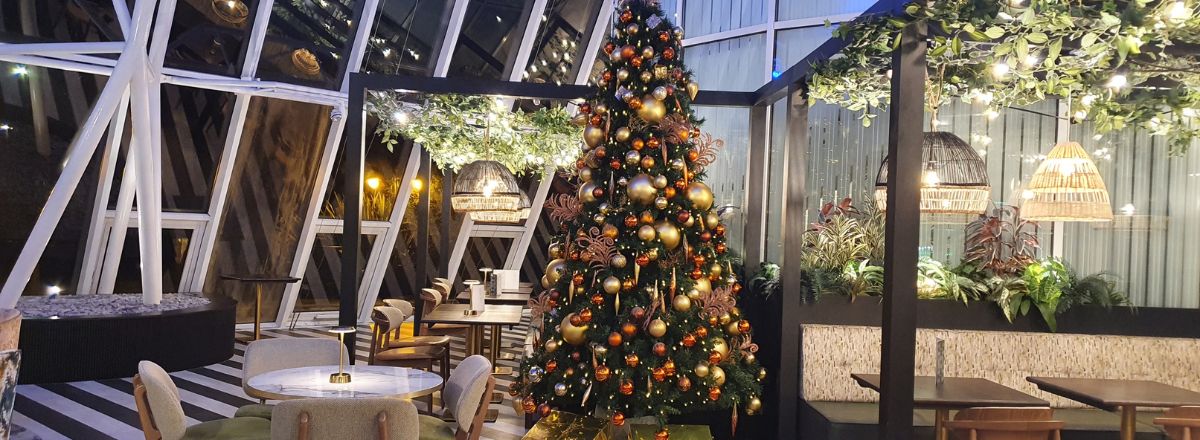 Christmas Tree and Christmas Decorations For Ambius UK