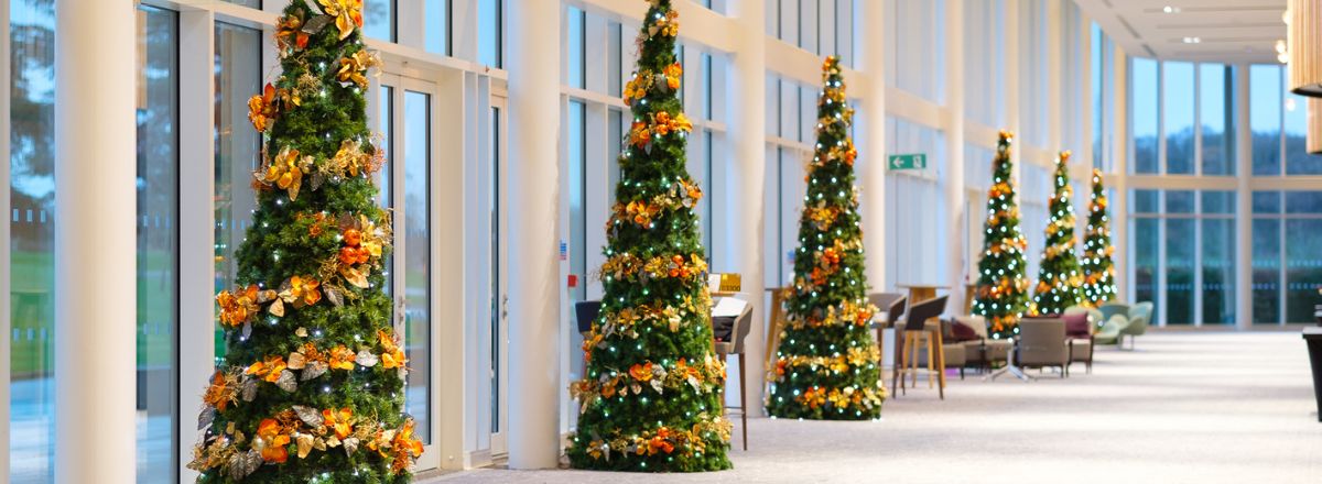 Cone Trees for Christmas Interior Design