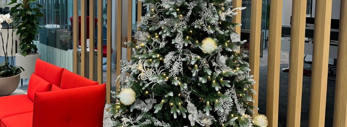 Dulwich Trees for Christmas Interior Design